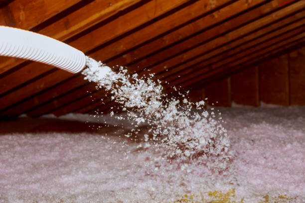 Insulation Replacement Services in Madison, MS