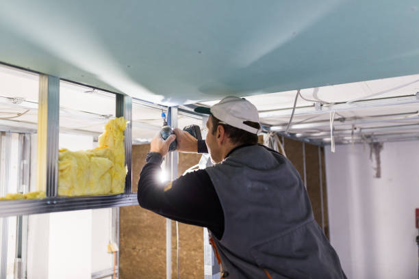 Best Insulation Removal  in Madison, MS