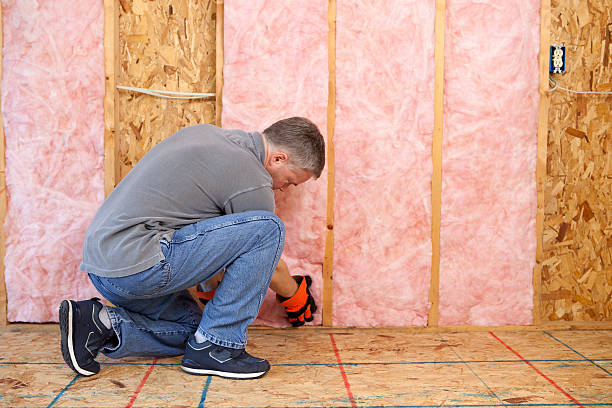 Best Cellulose Insulation  in Madison, MS