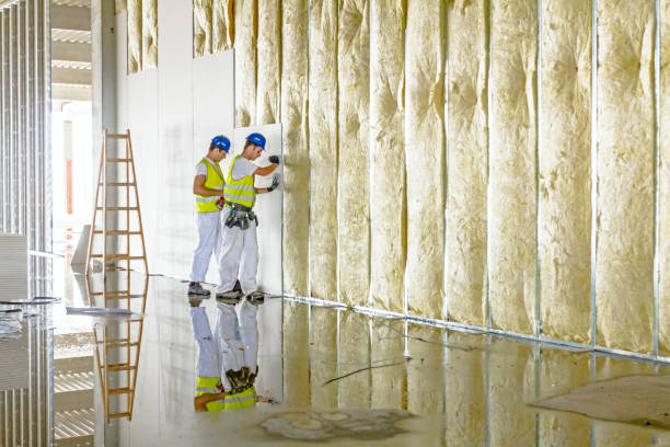 Best Insulation Contractors for Homes  in Madison, MS